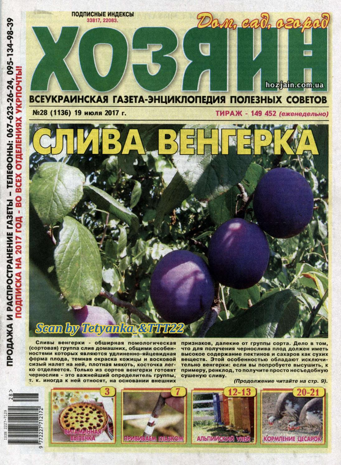 Журналы онлайн читать бесплатно последние выпуски 100PDF Газета Аргументы недели в сети, читать газету онлайн