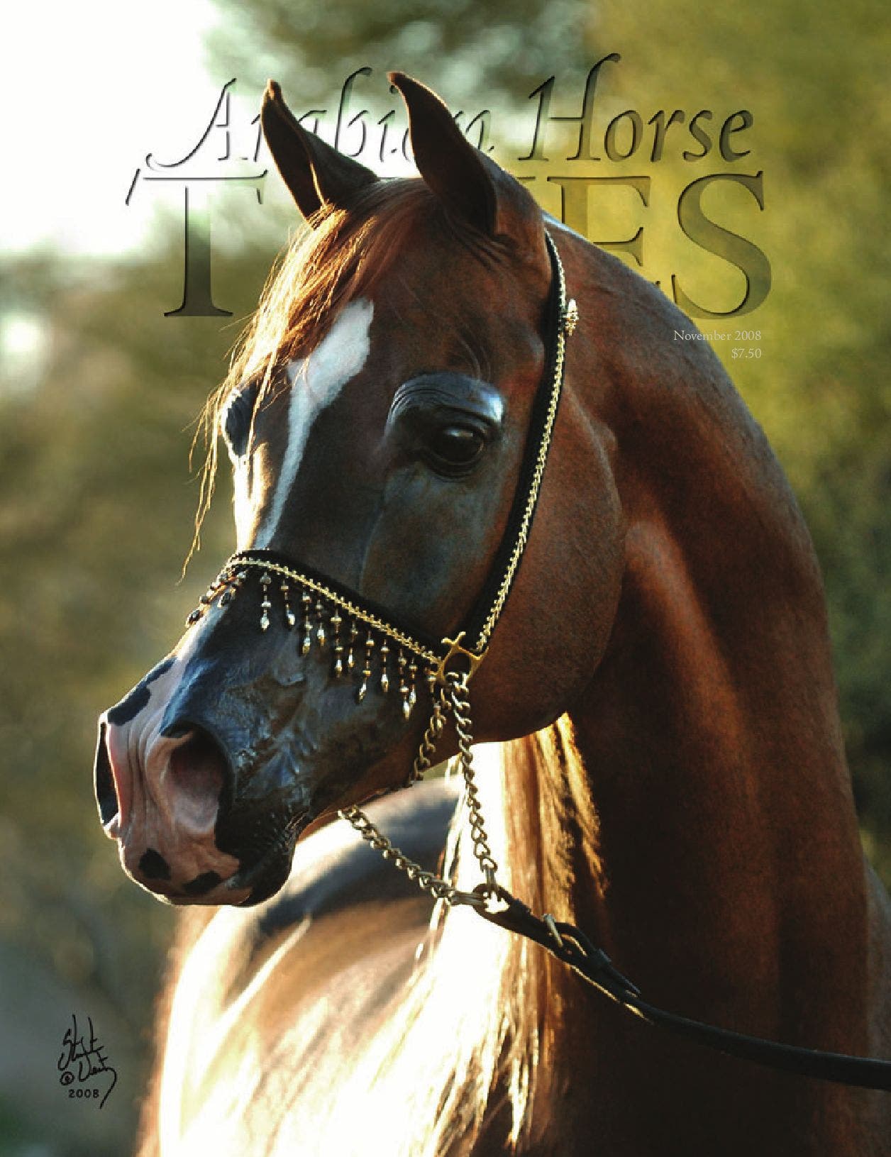 Arabian Horse Times November 2008 by Arabian Horse Times - Issuu