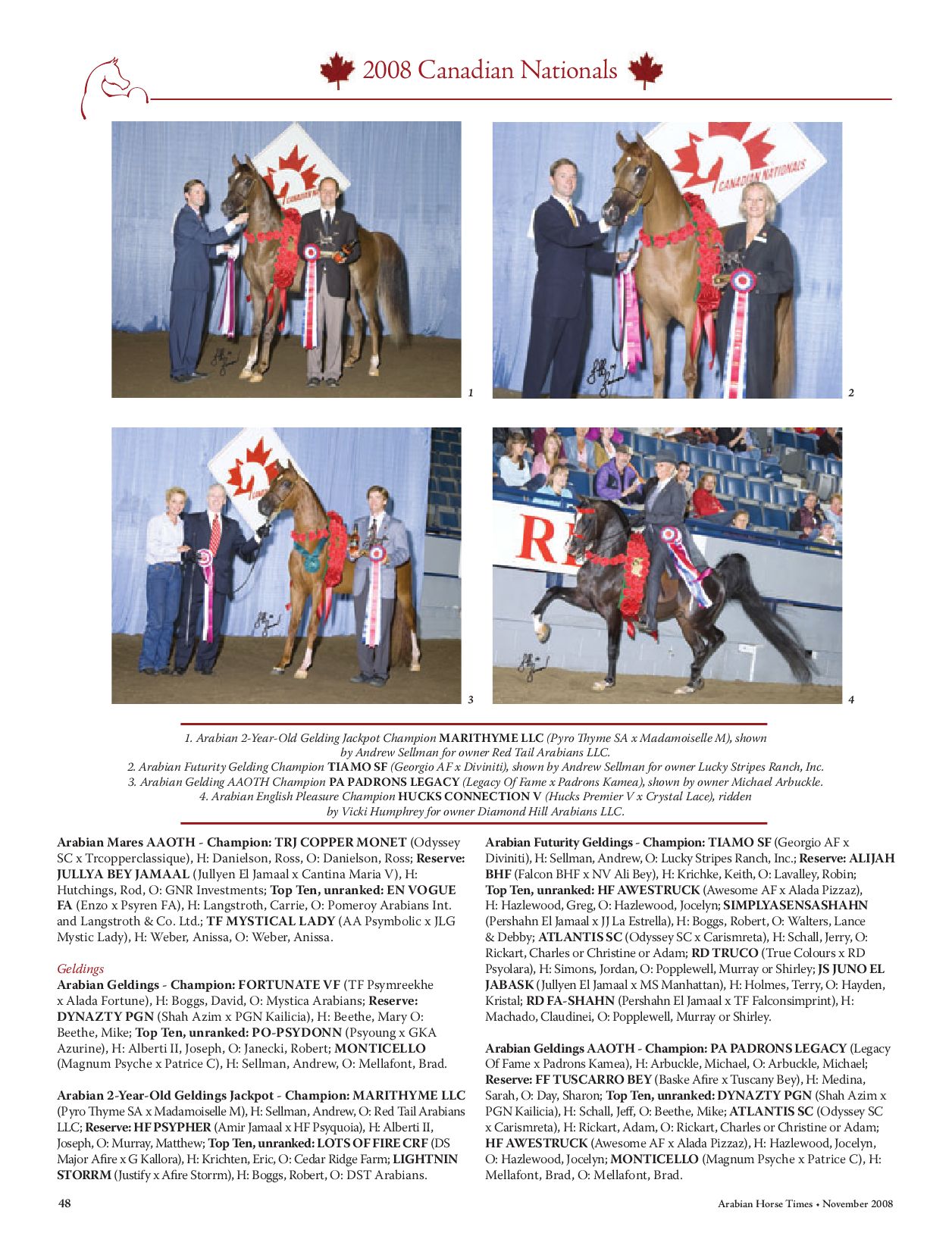 Arabian Horse Times November 08 By Arabian Horse Times Issuu