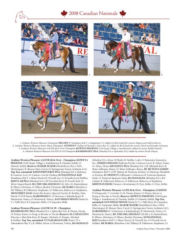 Arabian Horse Times November 2008 by Arabian Horse Times - Issuu