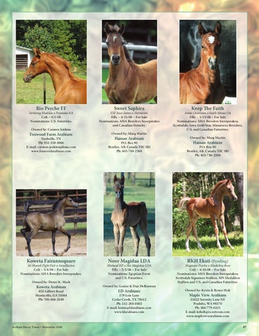 Arabian Horse Times November 2008 by Arabian Horse Times - Issuu