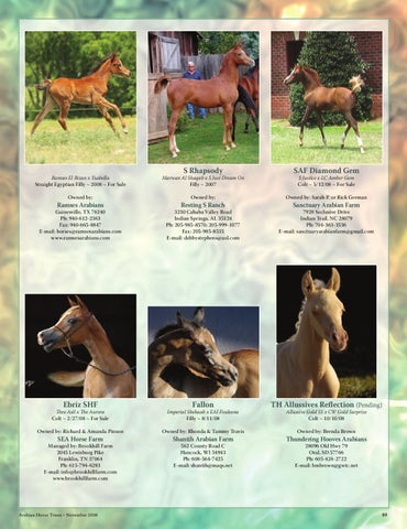 Arabian Horse Times November 2008 by Arabian Horse Times - Issuu