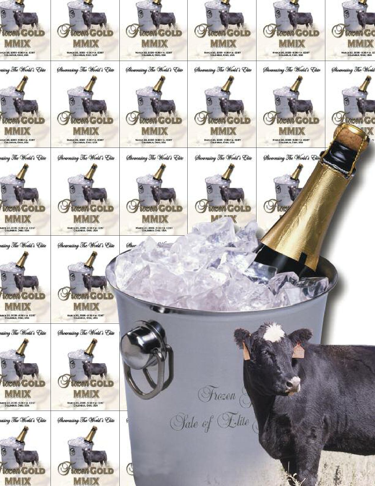 2009 Frozen Gold by Craig Reiter Issuu