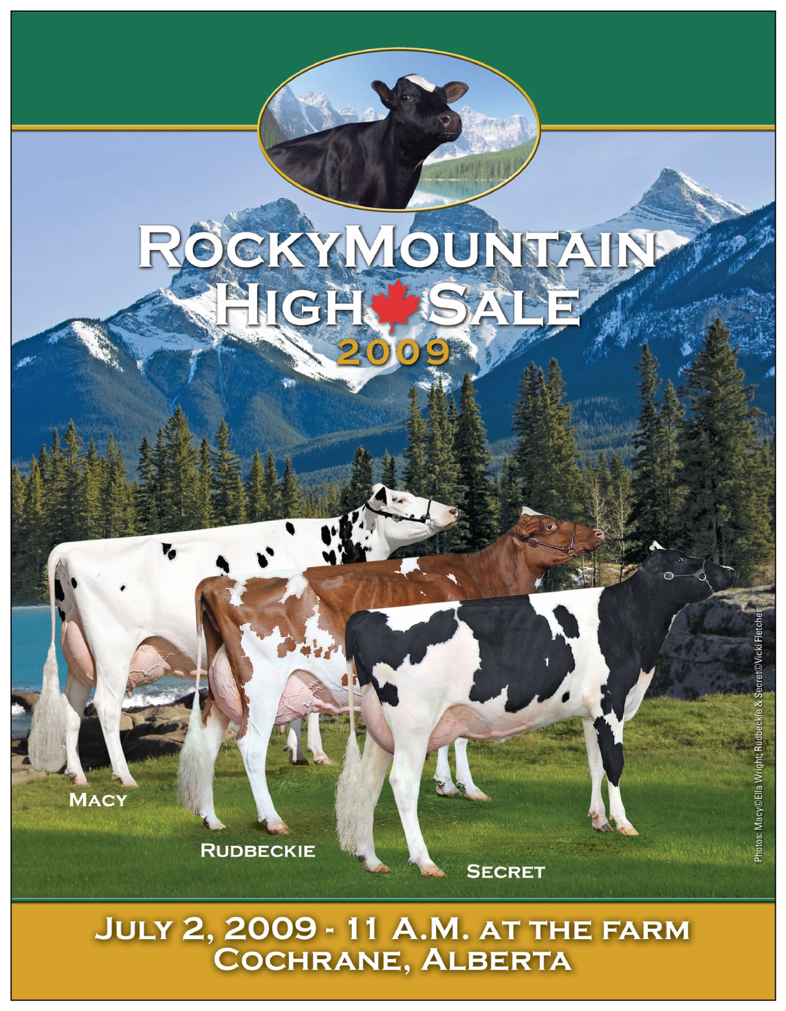 Rocky Mountain High Sale 2009 by Dairy Agenda Today Issuu