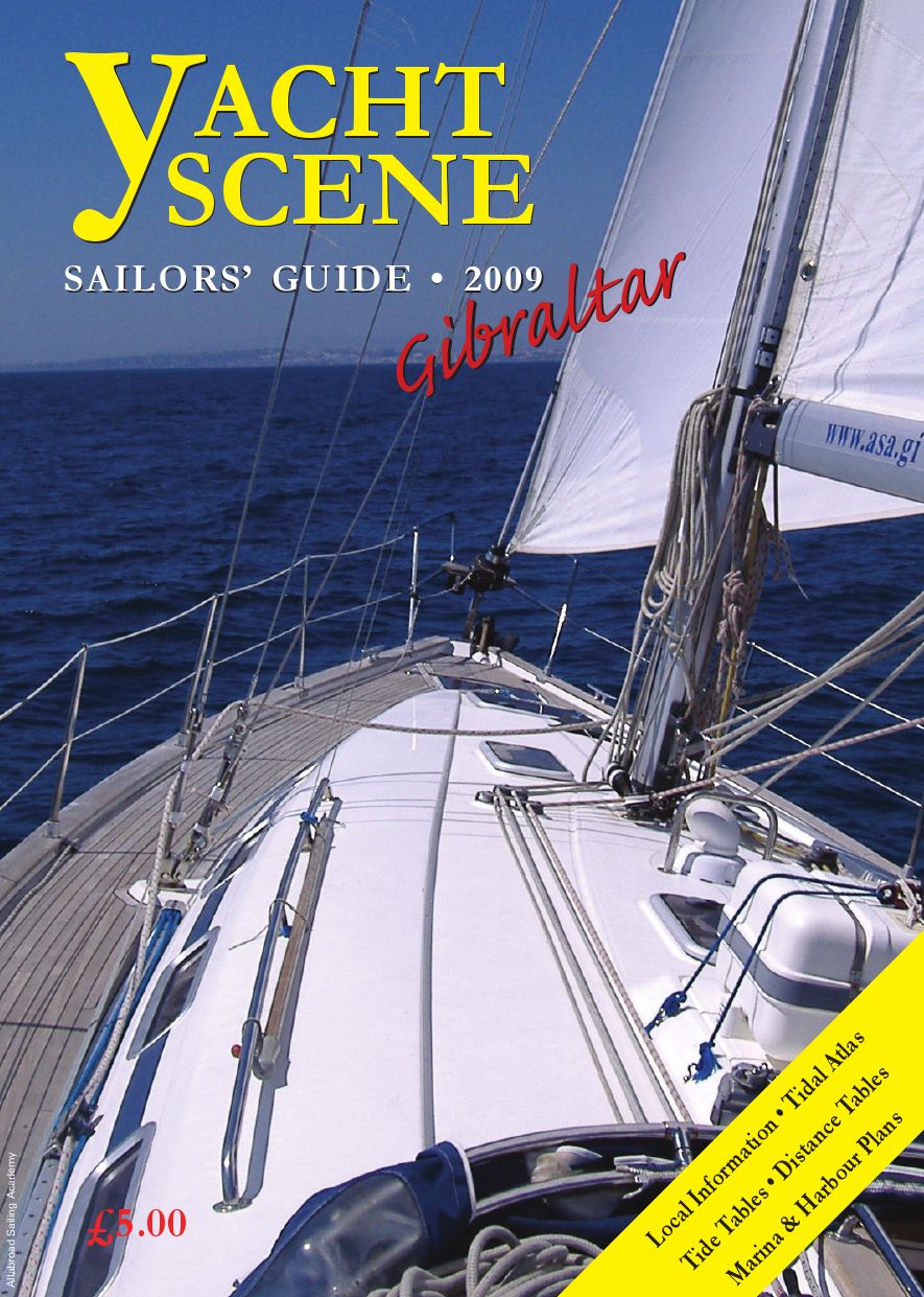 Quality Folding Mast Access Step 316 Stainless Steel Sailing Marine Yacht M21