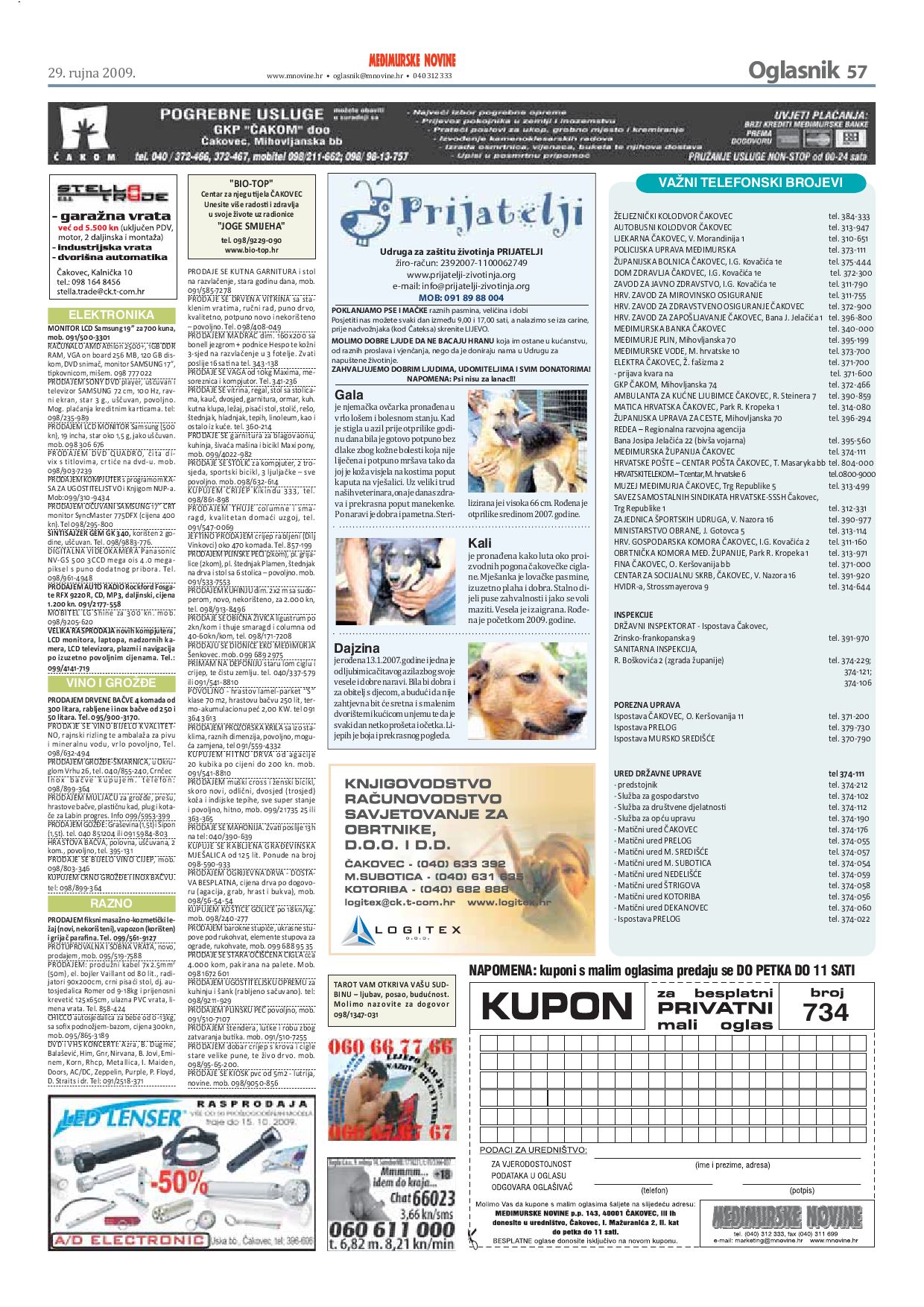besplatna maca prongola slika ženki