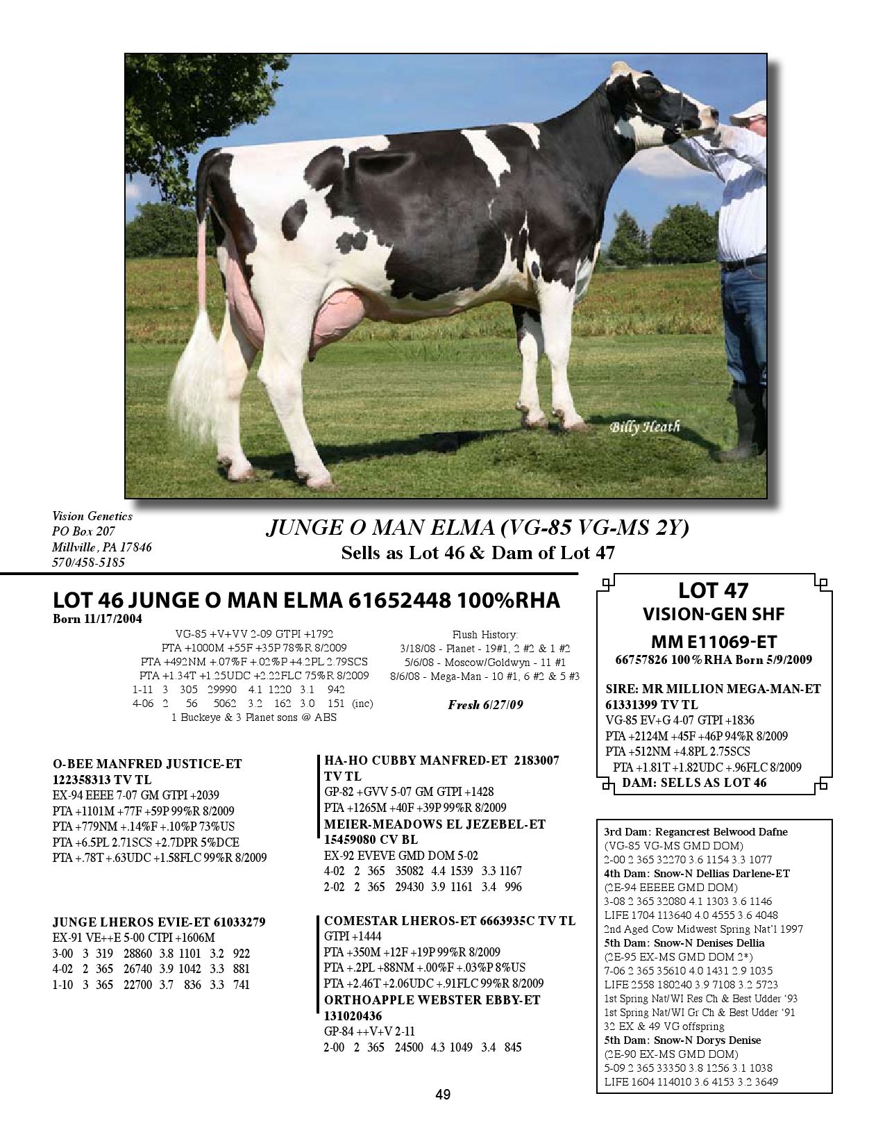 Ny Holstein Harvest Sale By Dairy Agenda Today Issuu