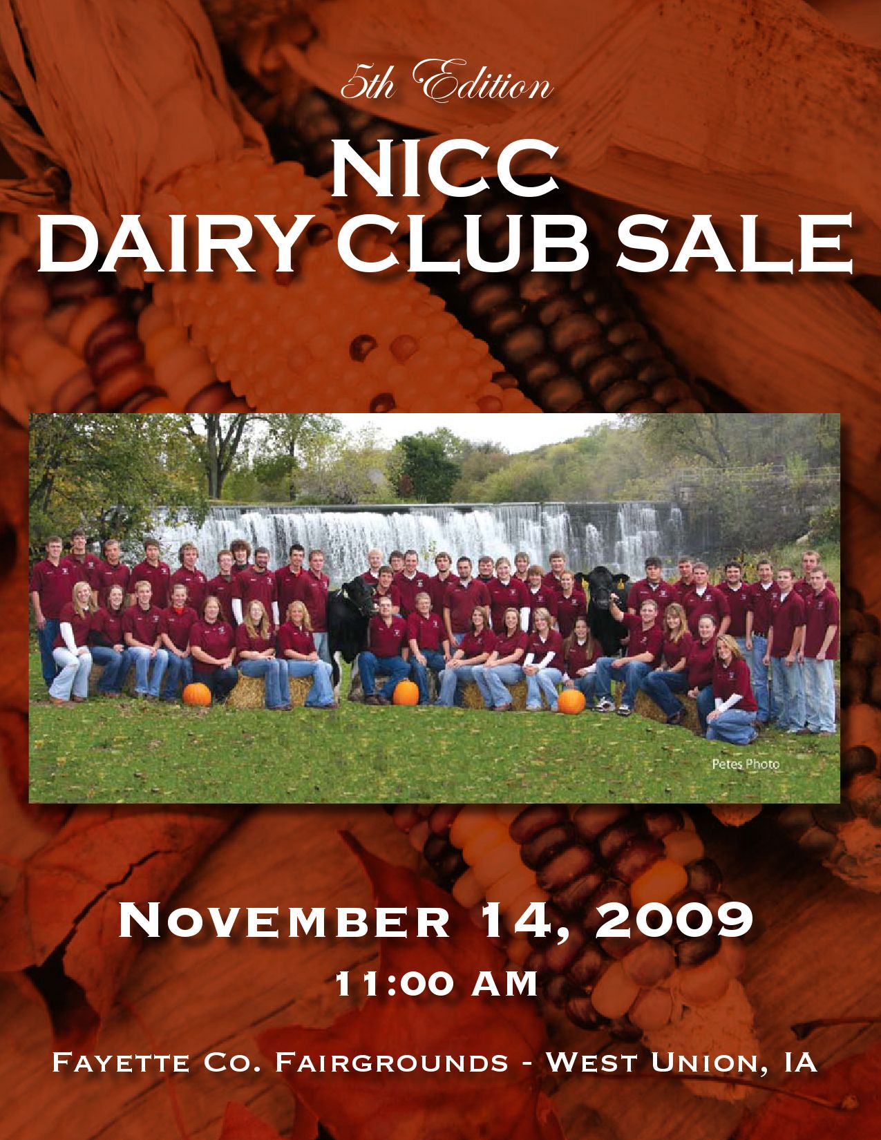 NICC Sale Catalog by Dairy Agenda Today Issuu