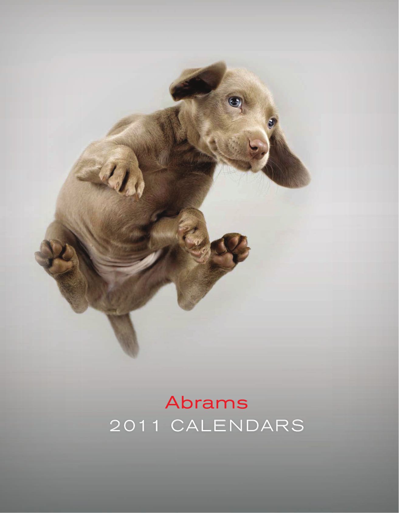 ABRAMS 2011 Calendars by ABRAMS Issuu