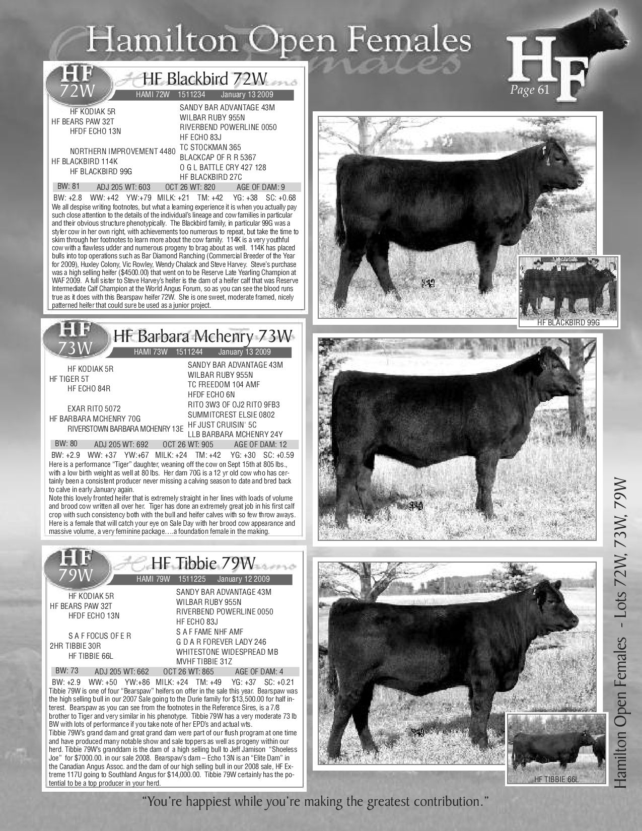 Hamilton Farms 15th Annual Bull & Select Female Sale by Everything