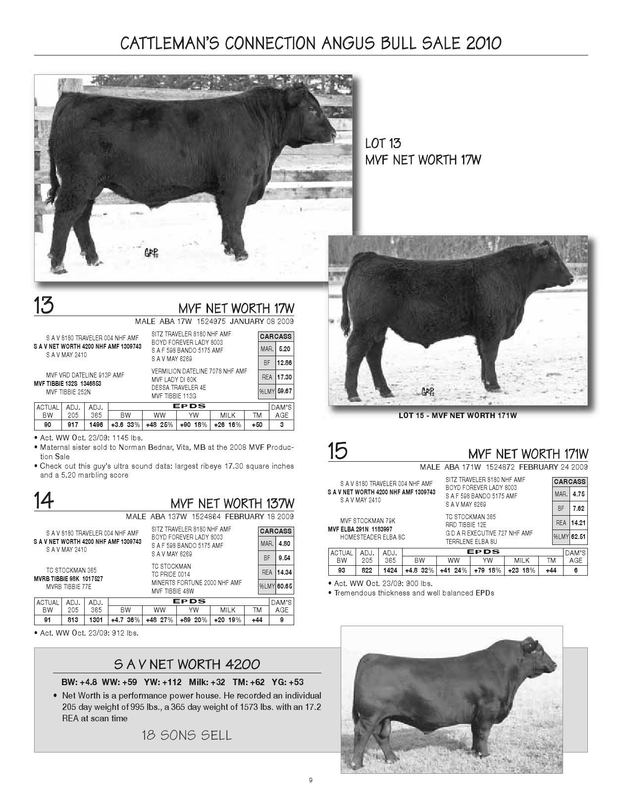 15th Annual Cattleman's Connection Bull Sale 2010 by Everything Angus Issuu