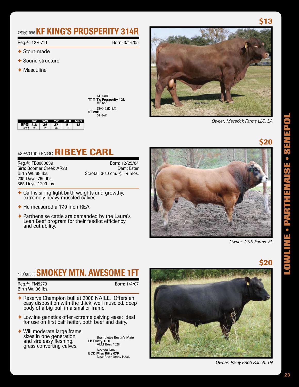 2010 Genex Added Attractions Catalog by GENEX Issuu