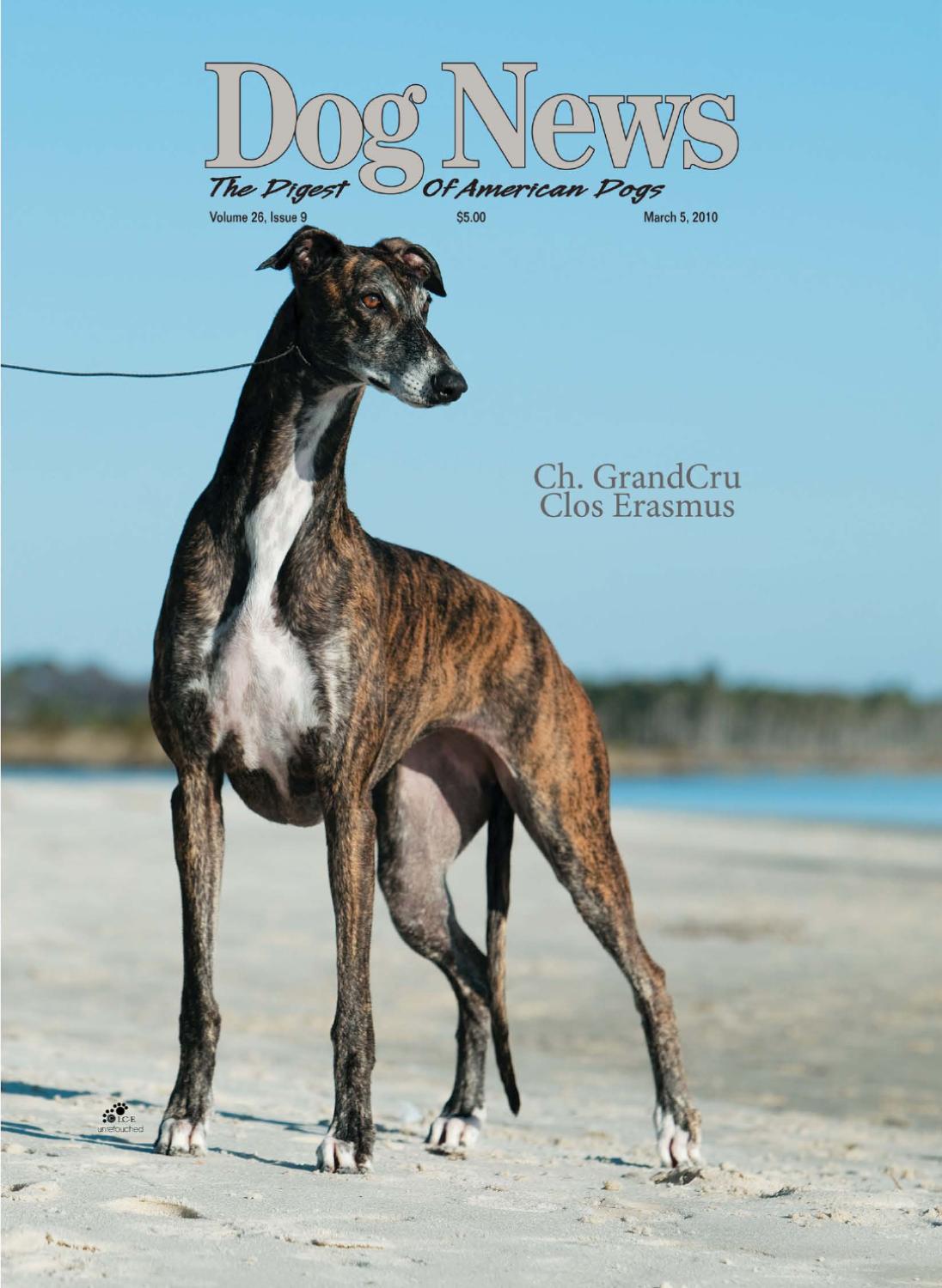 road wheeler road wheeler dog