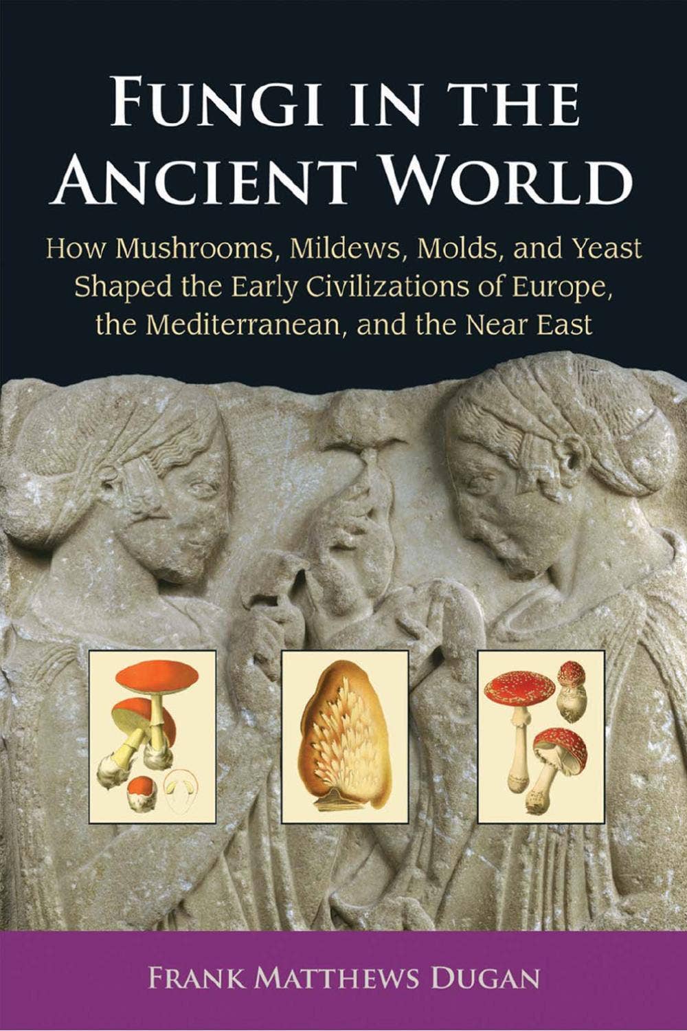 Fungi in the Ancient World 洋書 Fungi in the Ancient World by Scientific Societies - Issuu