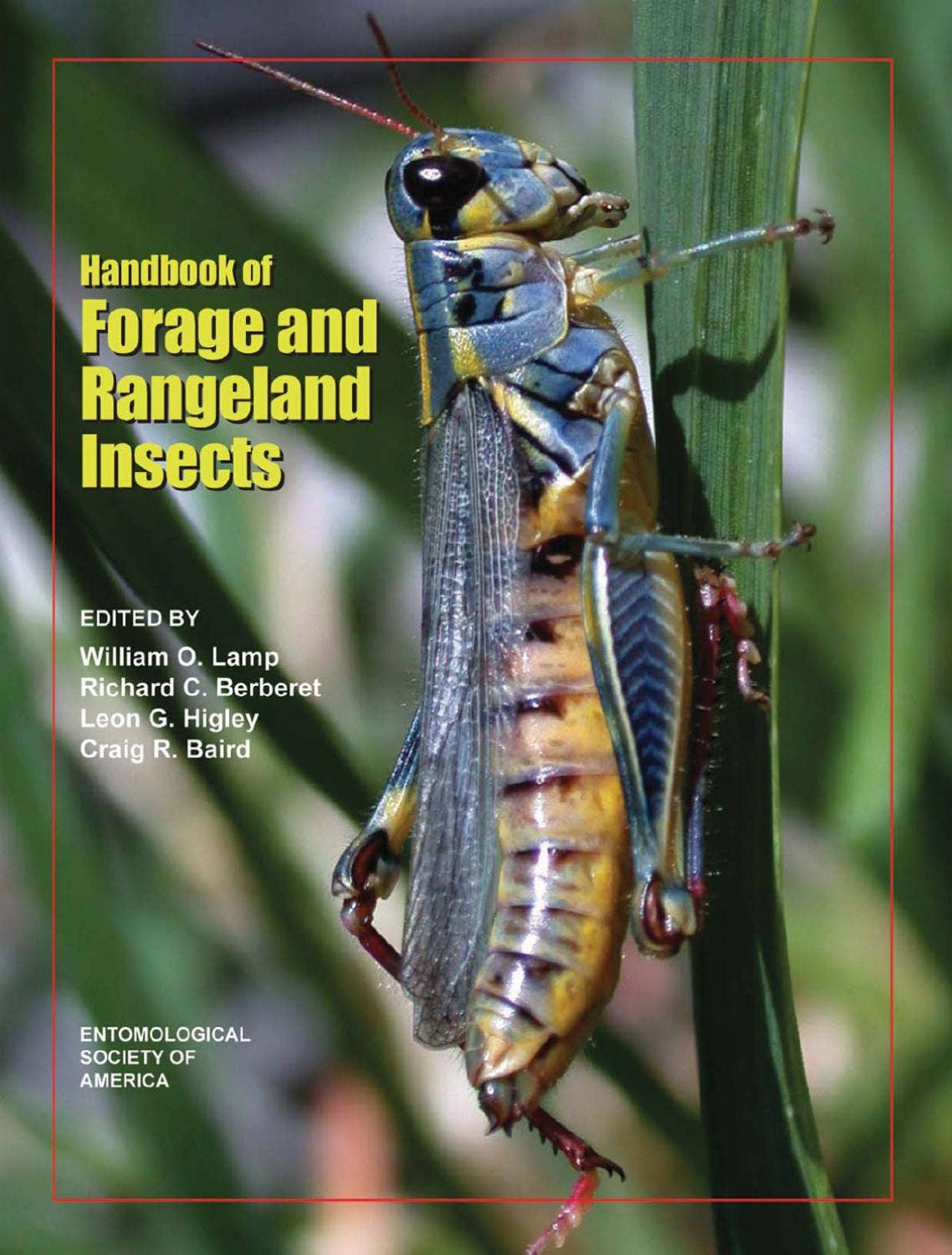 Insects Rangeland Handbook of Forage and Rangeland Insects by Scientific Societies - Issuu