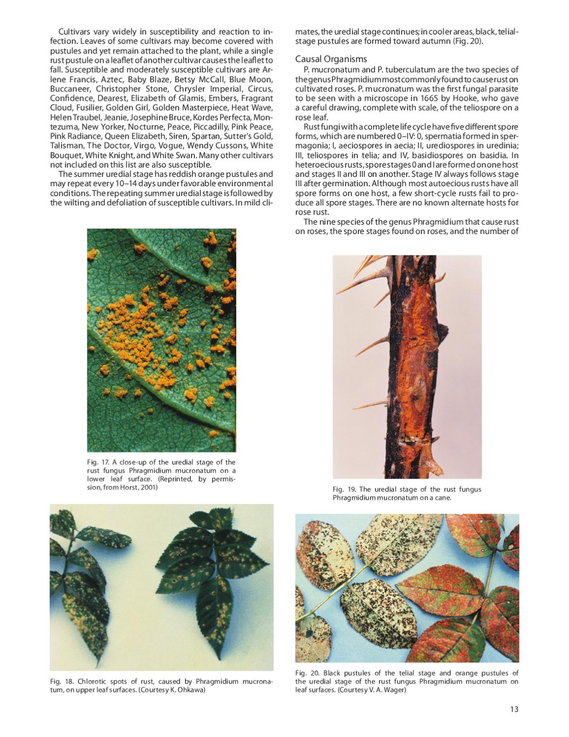 Rose Handler Compendium of Rose Diseases and Pests, Second Edition by Scientific ...