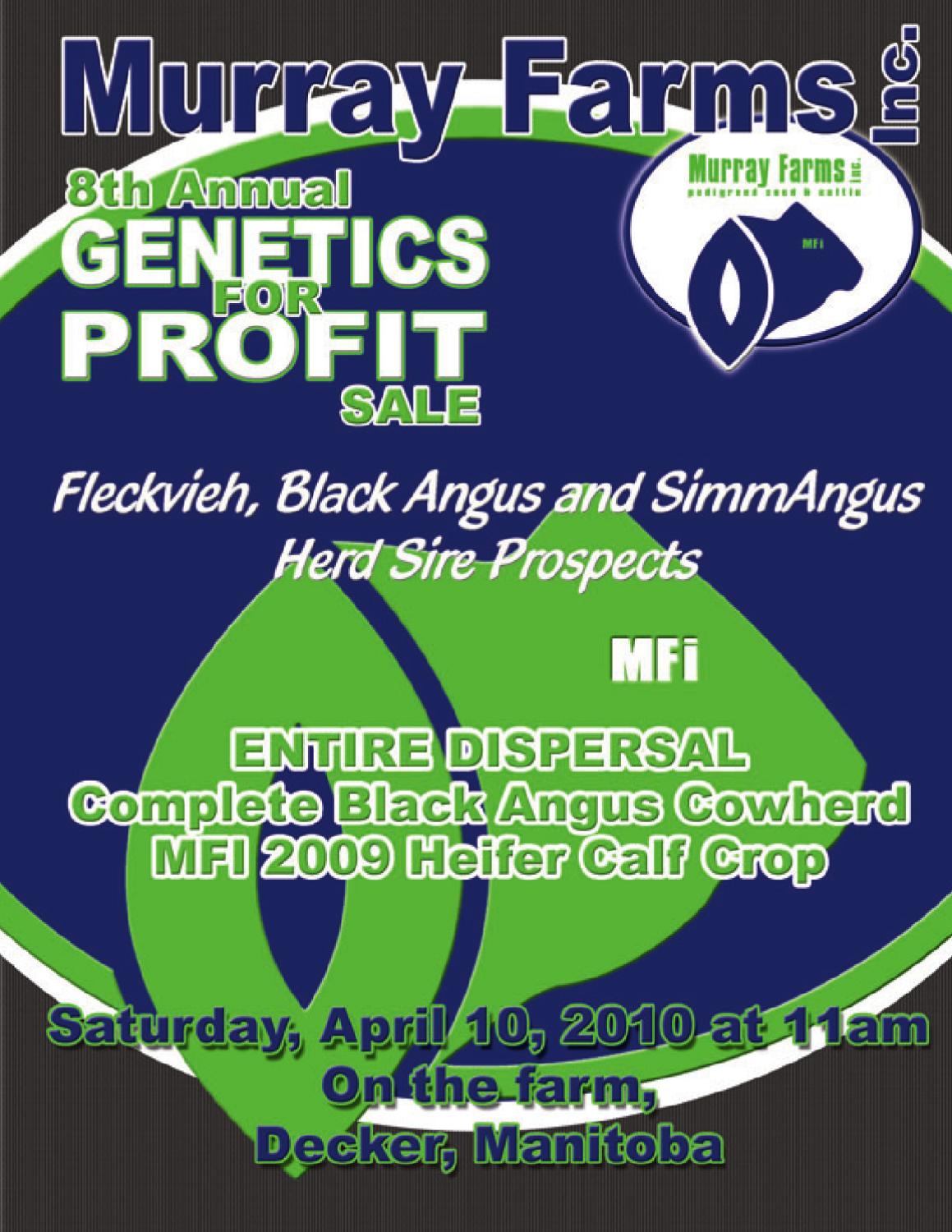 Murray Farms Bull Sale & Angus Dispersal 2010 by Everything Angus Issuu