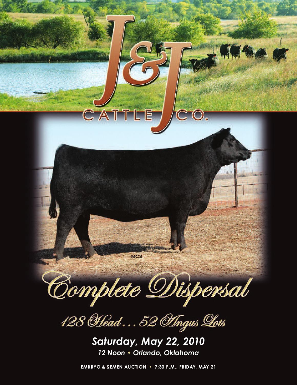 J & J Cattle Company Sale by Tracy McMurphy Issuu