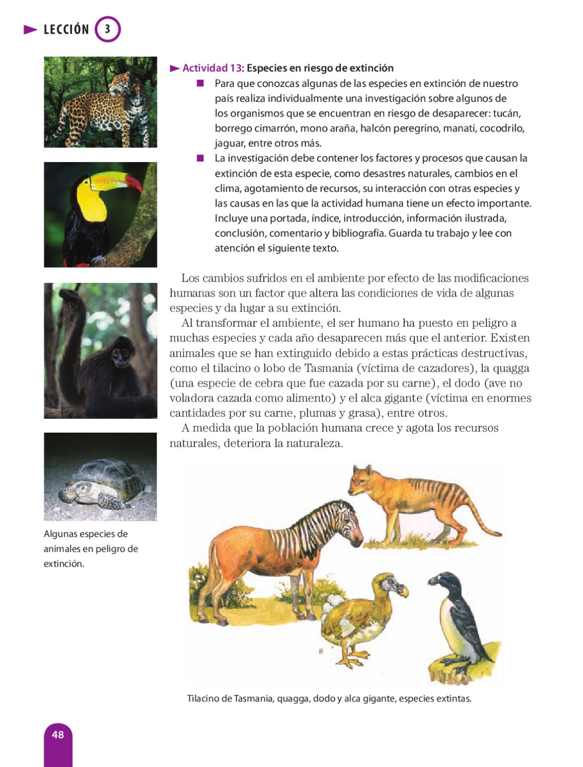 Ciencias Naturales 6to. Grado by Rarámuri Issuu