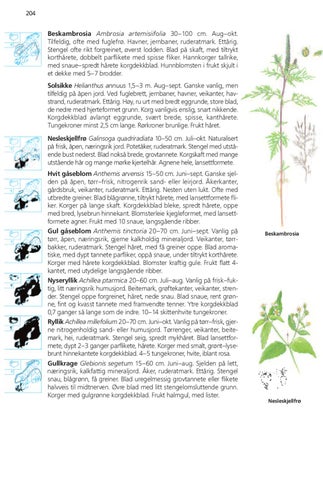 Page 204