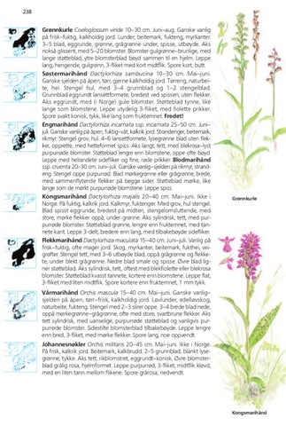 Page 238