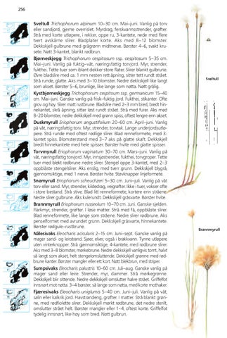 Page 256