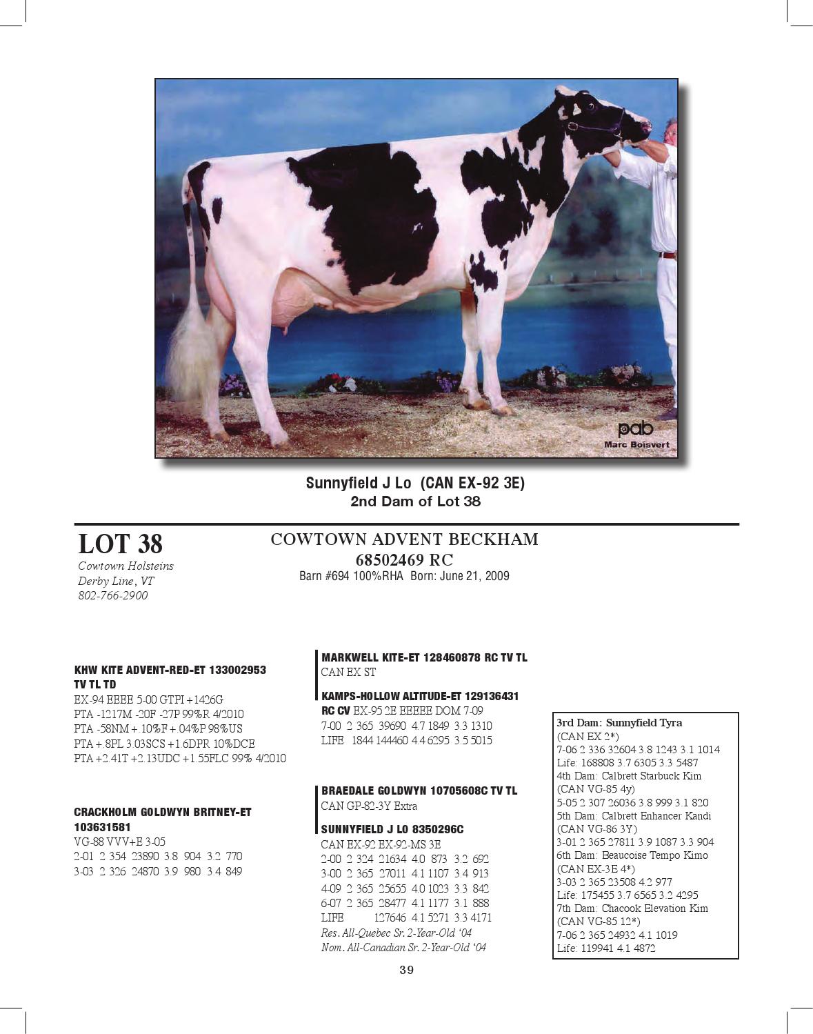 Excellence of Cowtown International Sale by Dairy Agenda Today Issuu