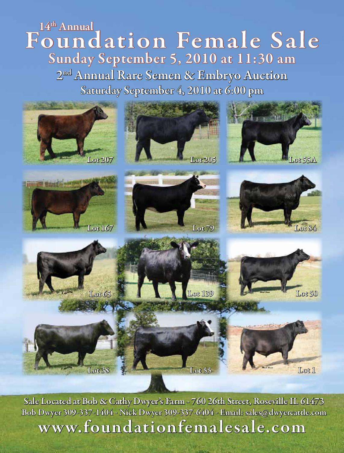 2010 Foundation Female Sale by Dwyer Cattle Services Issuu