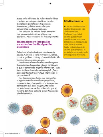 Page 75