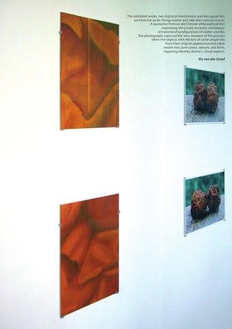 Primavera Exhibition | Amsterdam | 2007 第 10 页