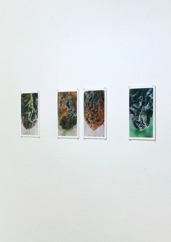 Objects-Rooms | 灯饰目录 | 2007 第 20 页