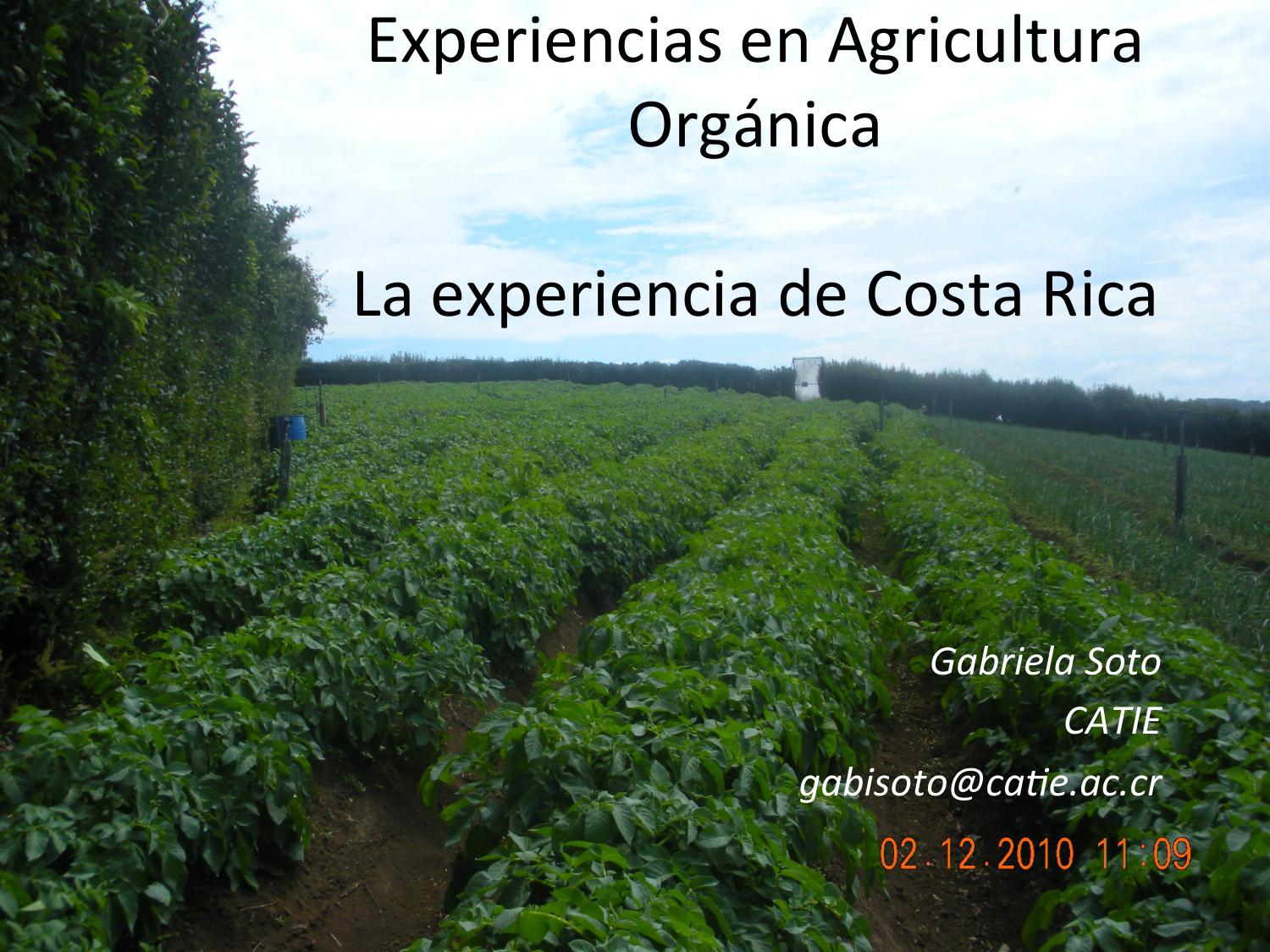 Experiencias En Agricultura Orgánica By Biblioteca Eea Issuu