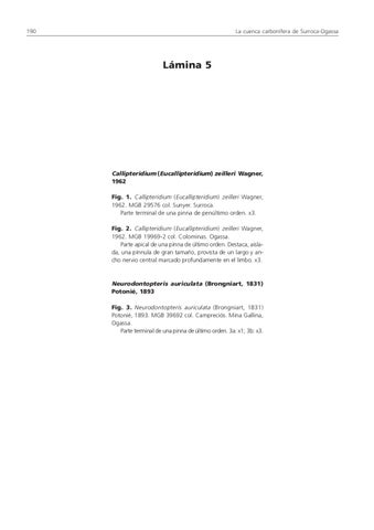 Page 191