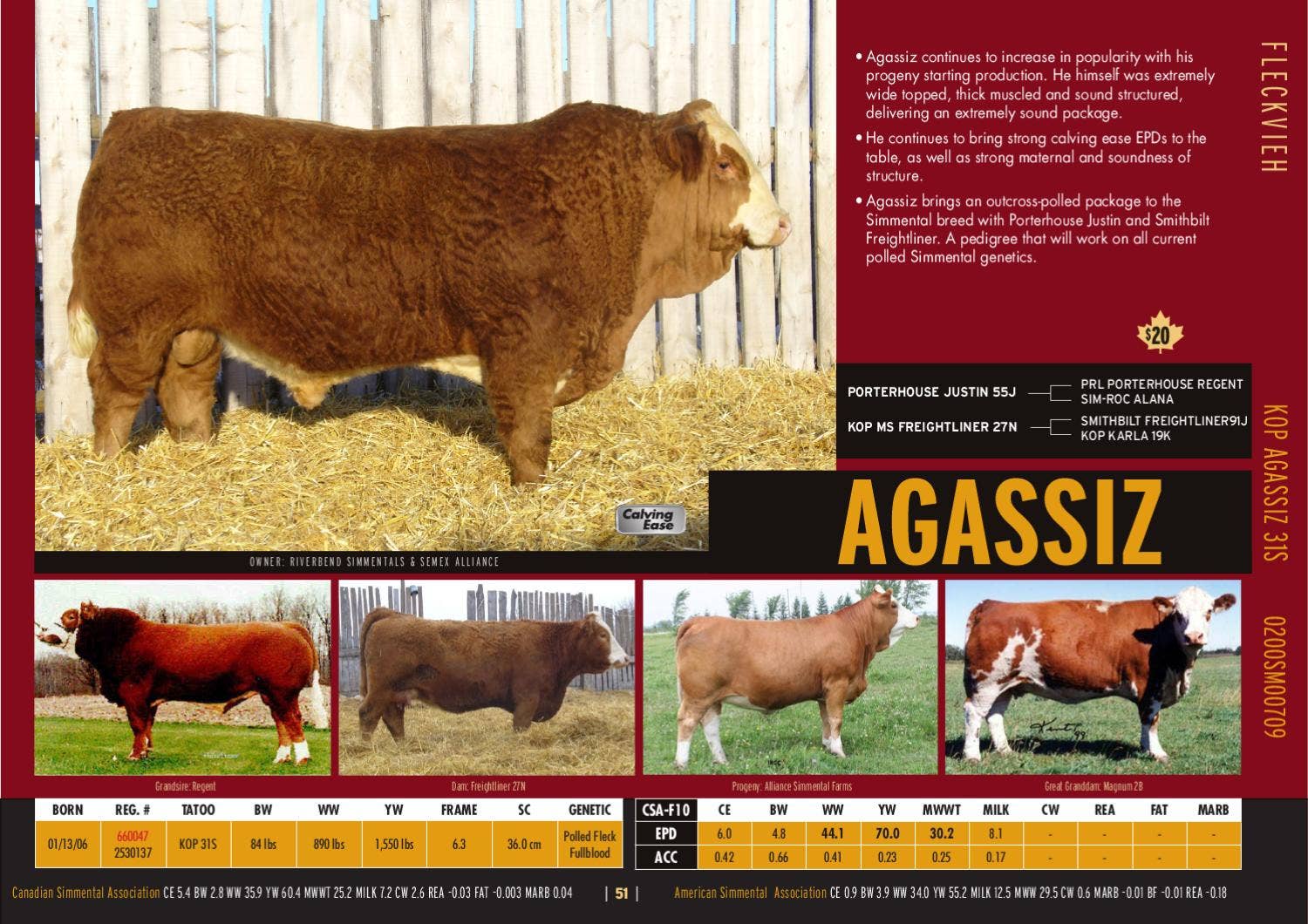 2011 Beef Catalogue by Semex - Issuu