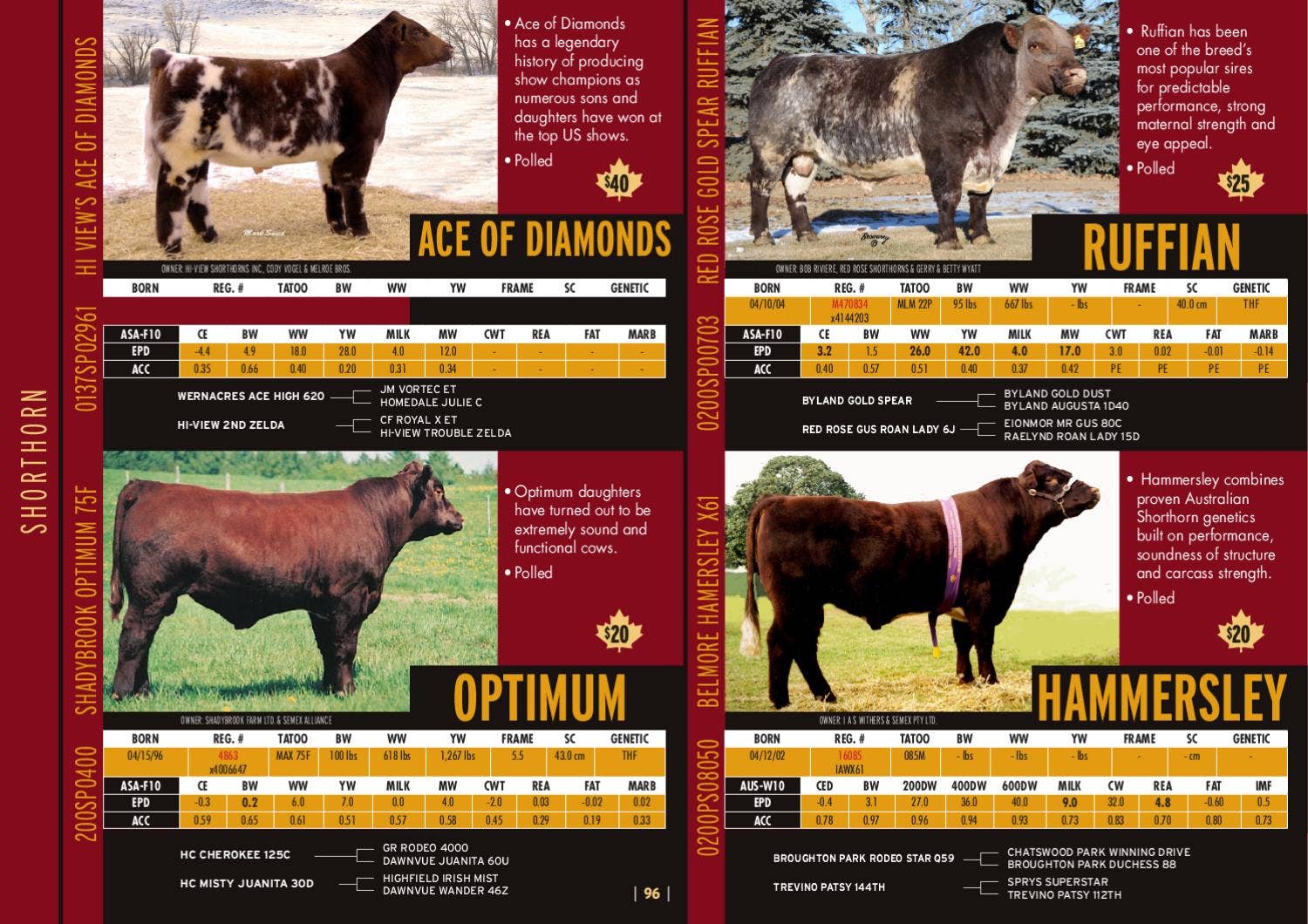 2011 Beef Catalogue by Semex - Issuu