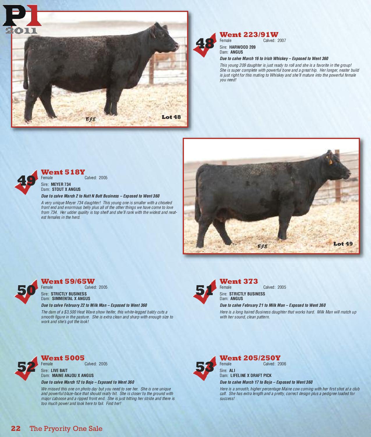 The Pryority 1 Sale By Craig Reiter Issuu