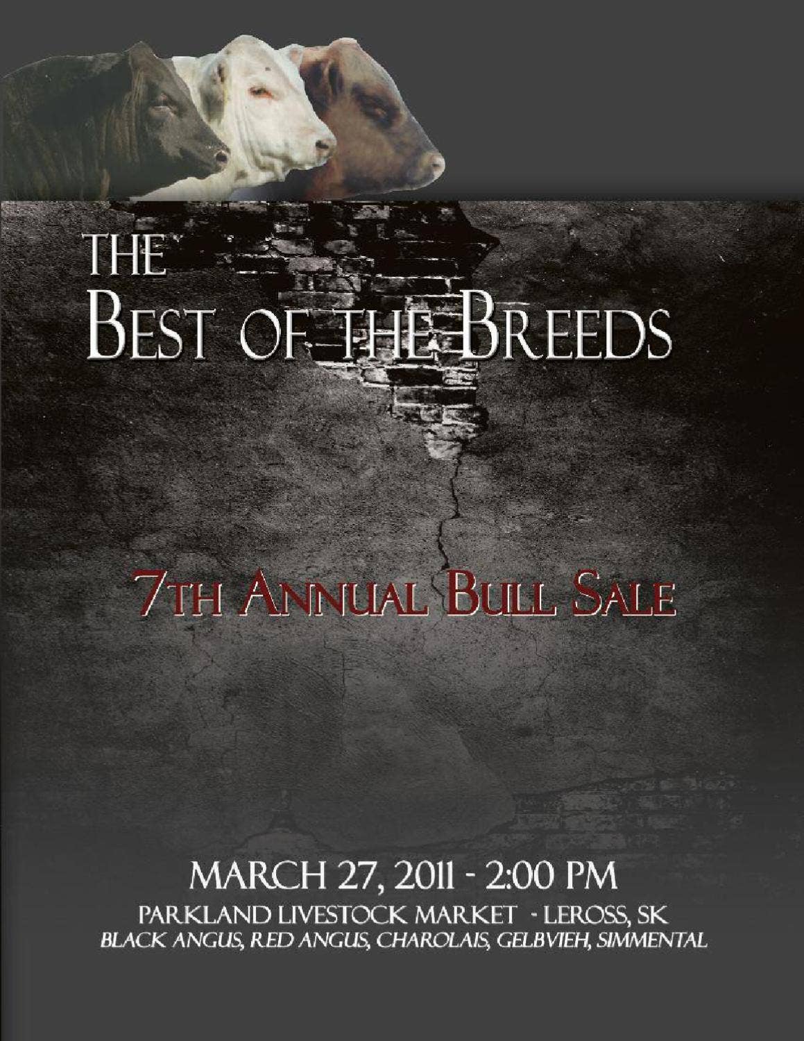 Best Of The Breeds Bull Sale by Today's Publishing Inc. - Issuu