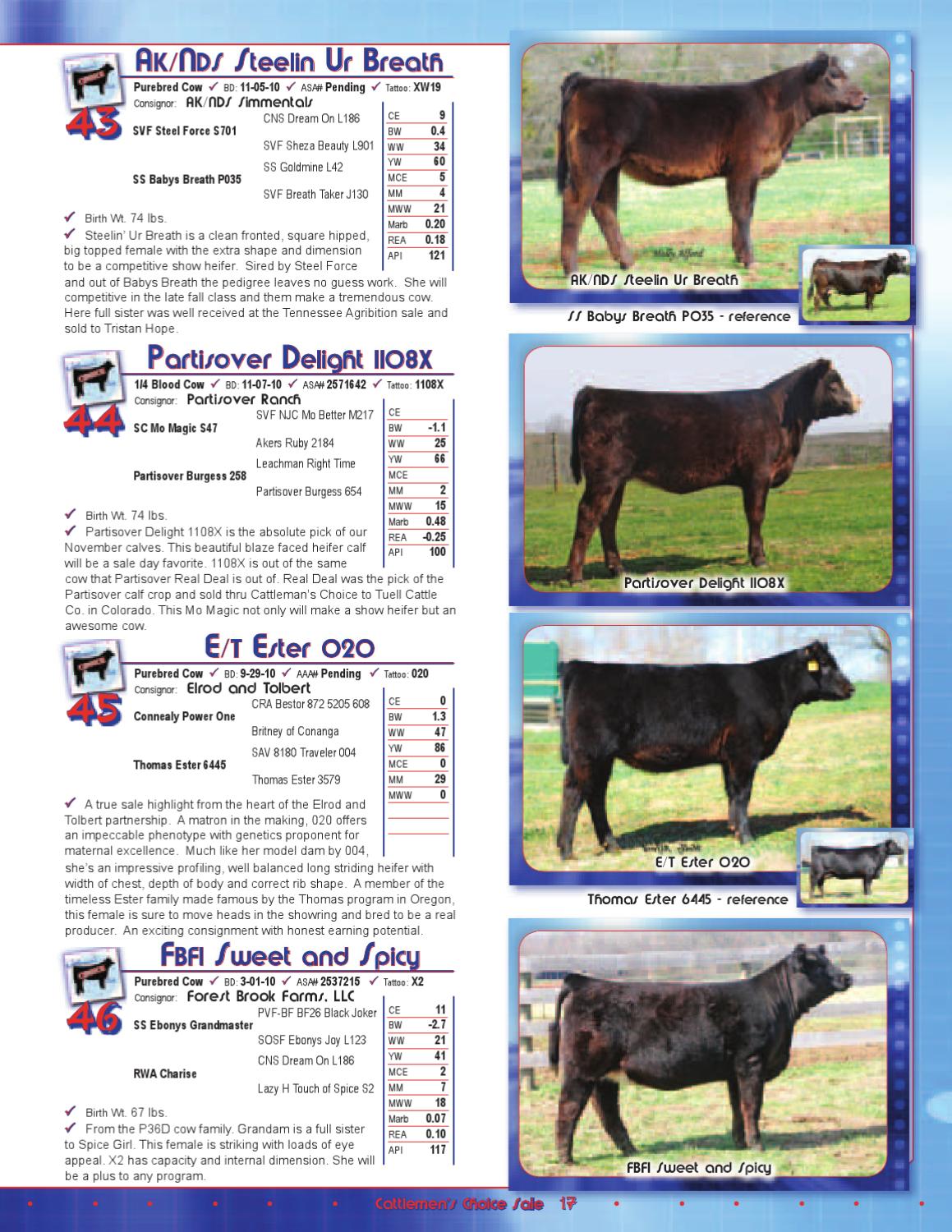 Cattlemen s Choice By EDJE Issuu