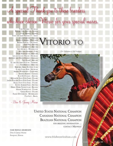 Arabian Horse Times March 2011 by Arabian Horse Times - Issuu
