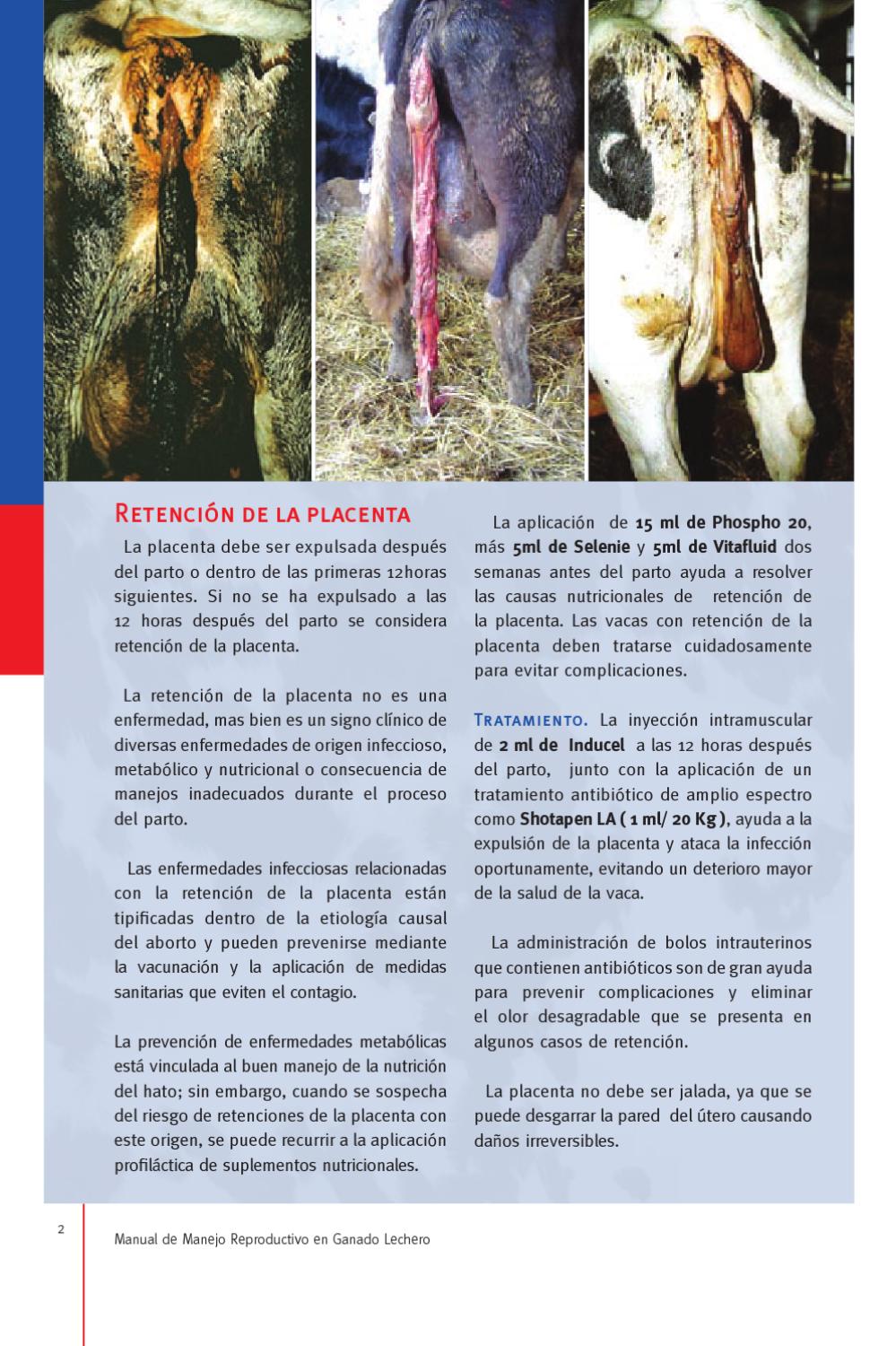 enfermedades infecciosas causas consecuencias
