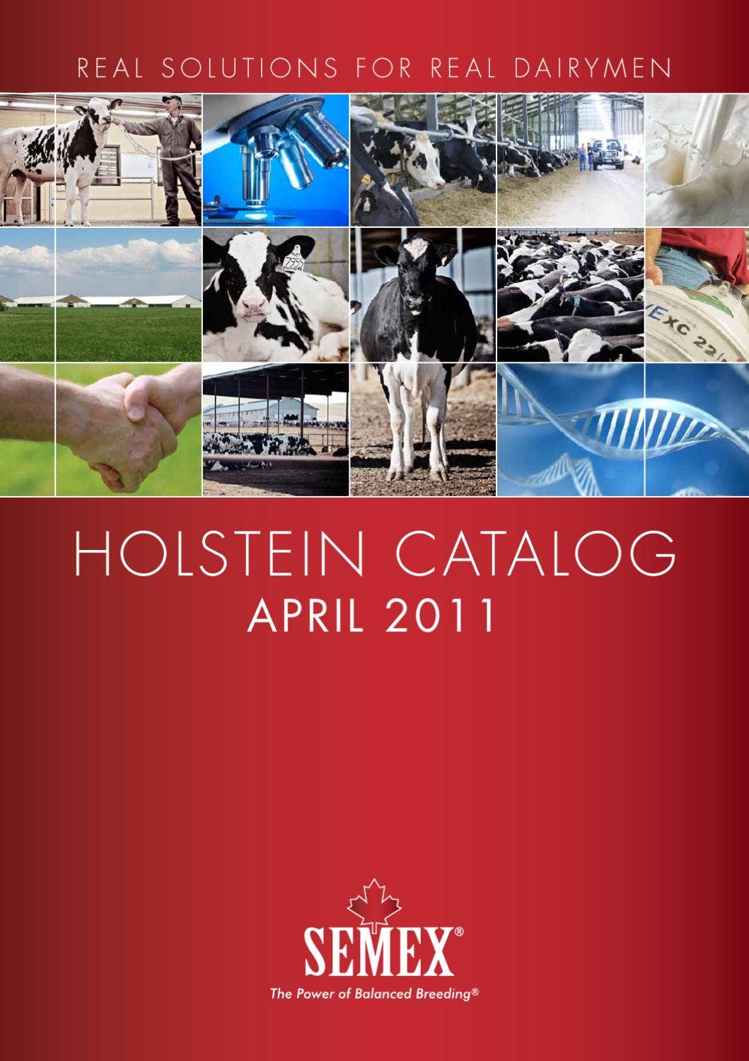 Semex April 2011 USA Holstein Catalog by Semex Issuu