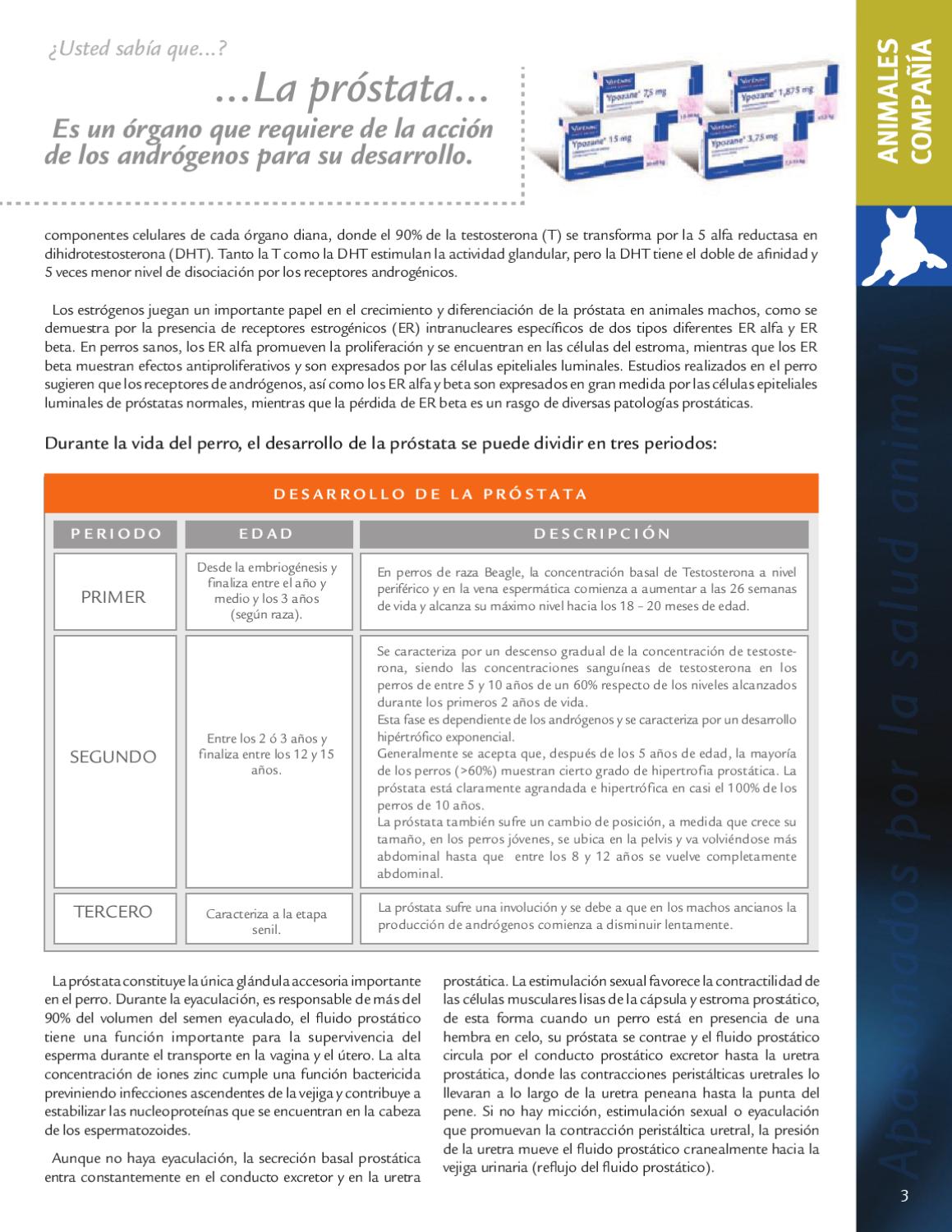 dht y prostata