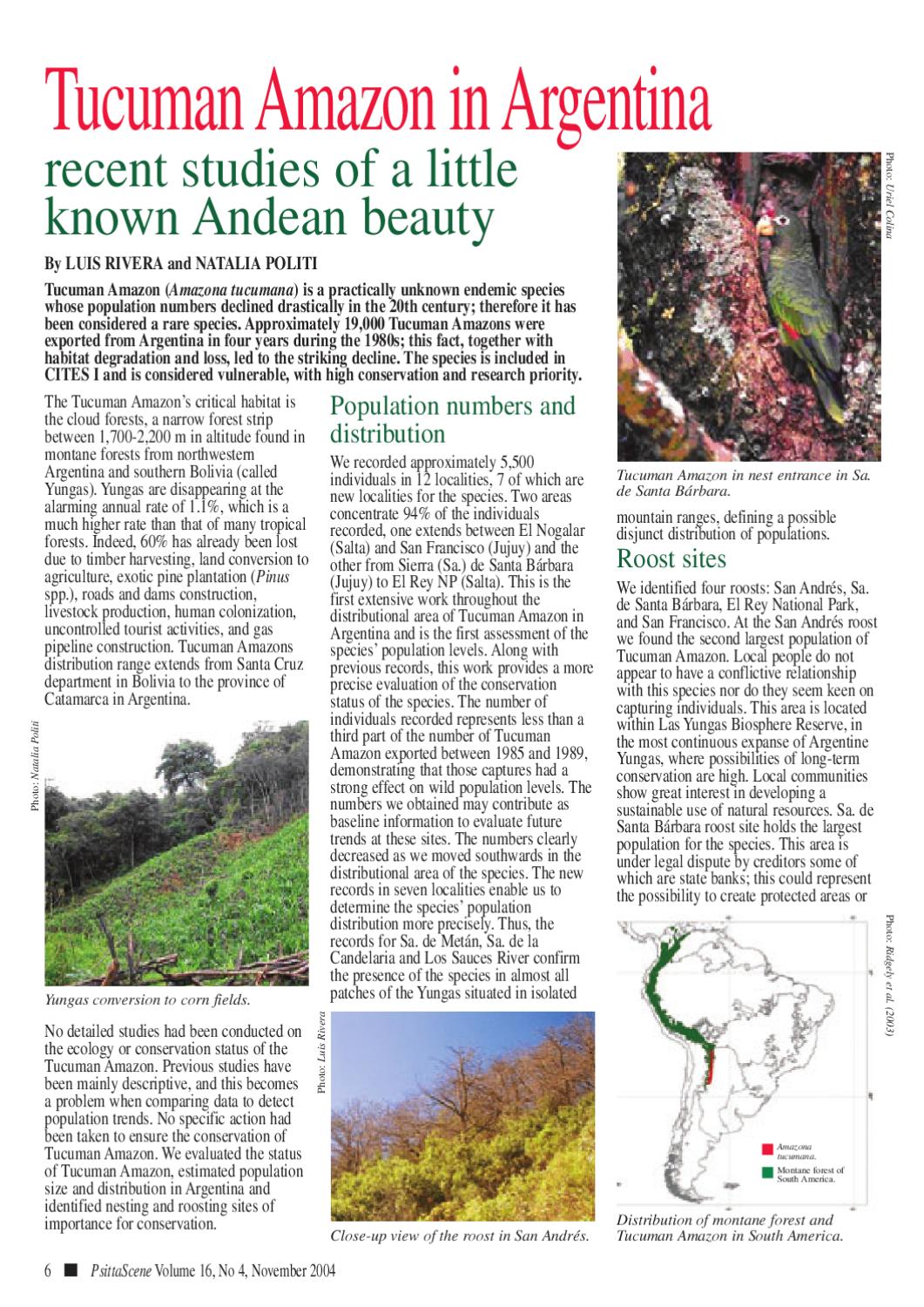 Tucuman Amazon in Argentina by World Parrot Trust Issuu