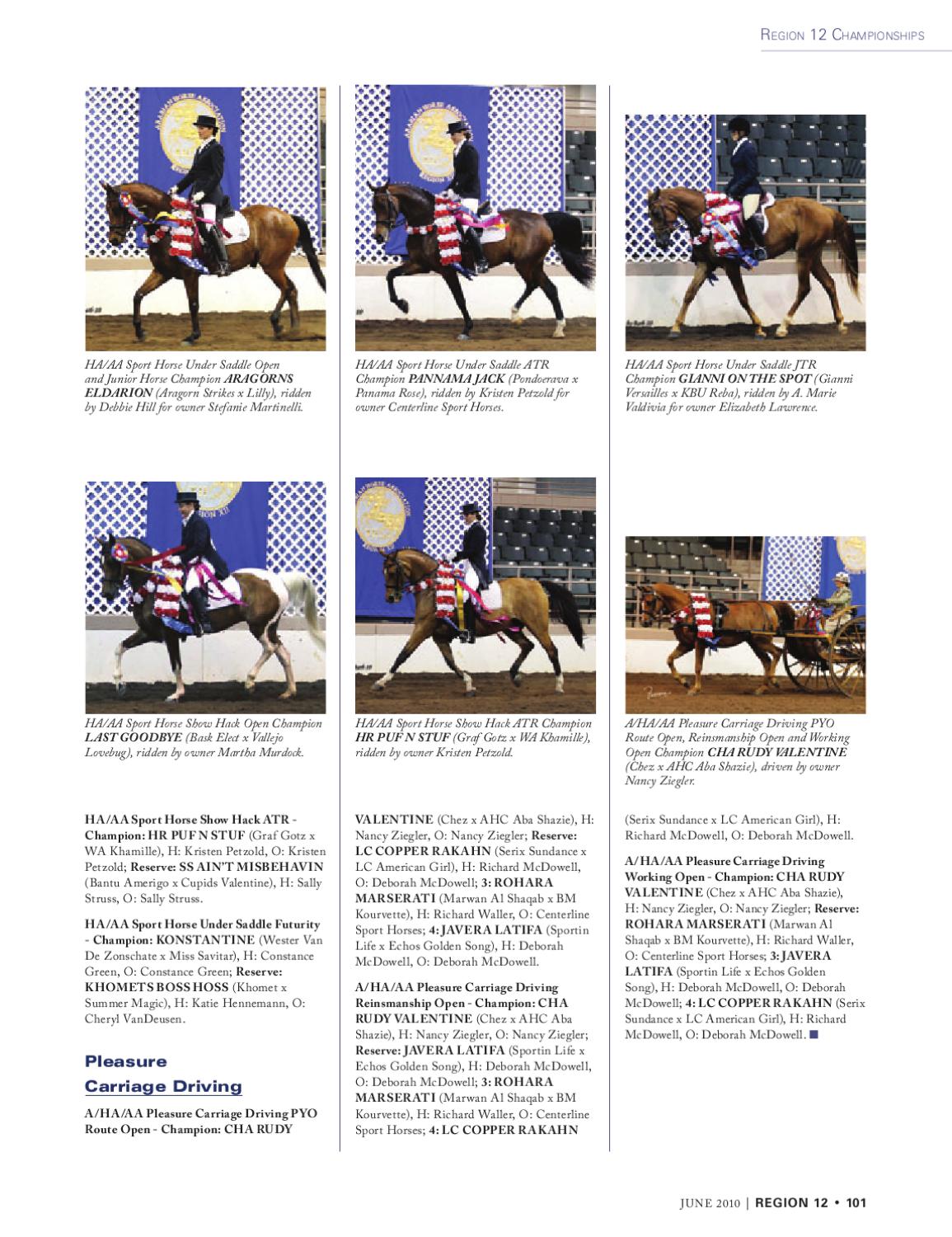 Region 12, 2010 by Arabian Horse Times - Issuu