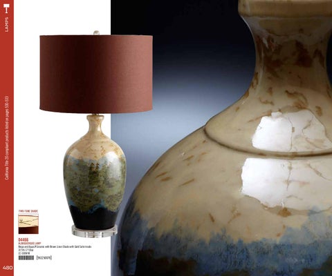 Pinhook Branding LLC 灯饰目录 · Cyan Design Big 册 2011 Lamps 第 14 页