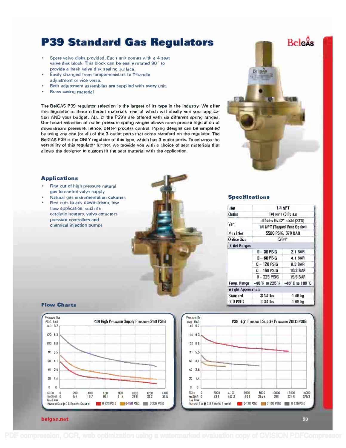 P039 Regulator Order Code & Parts Manual by RMC Process Controls ...