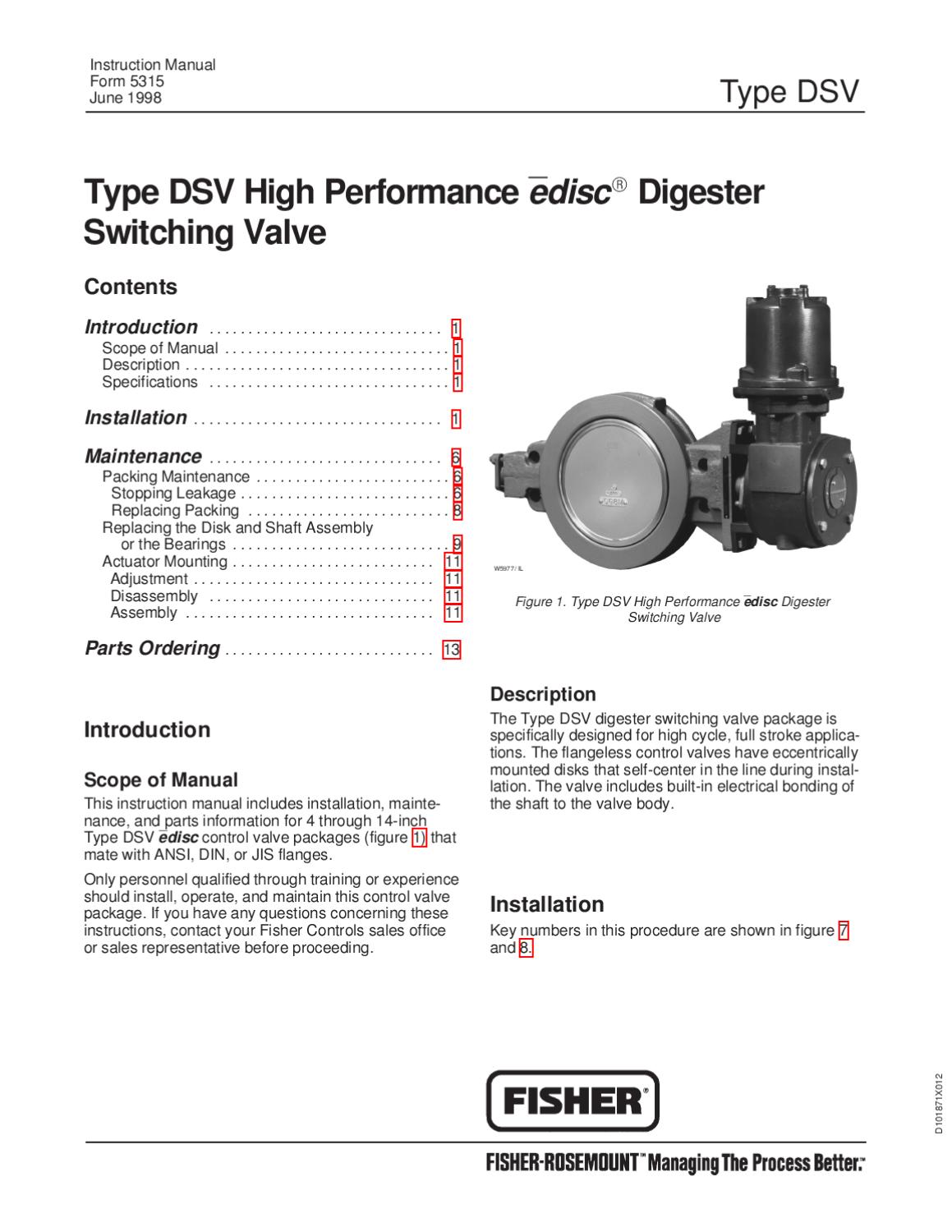 DSV Valve Instruction Manual by RMC Process Controls & Filtration, LLC