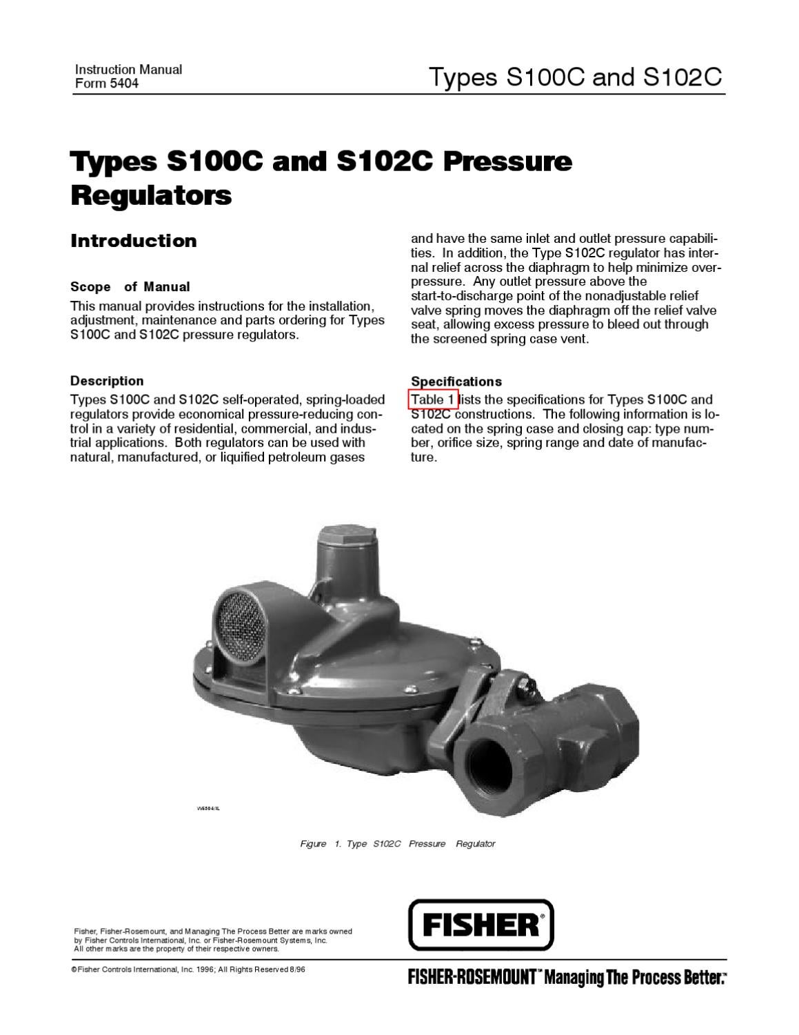 S100CS102C Instruction Manual by RMC Process Controls & Filtration