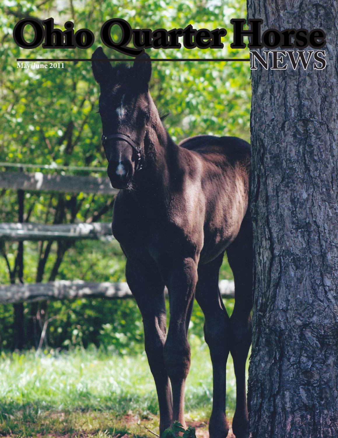 Ohio Quarter Horse News May/June 2011 by Ohio Quarter Horse Association