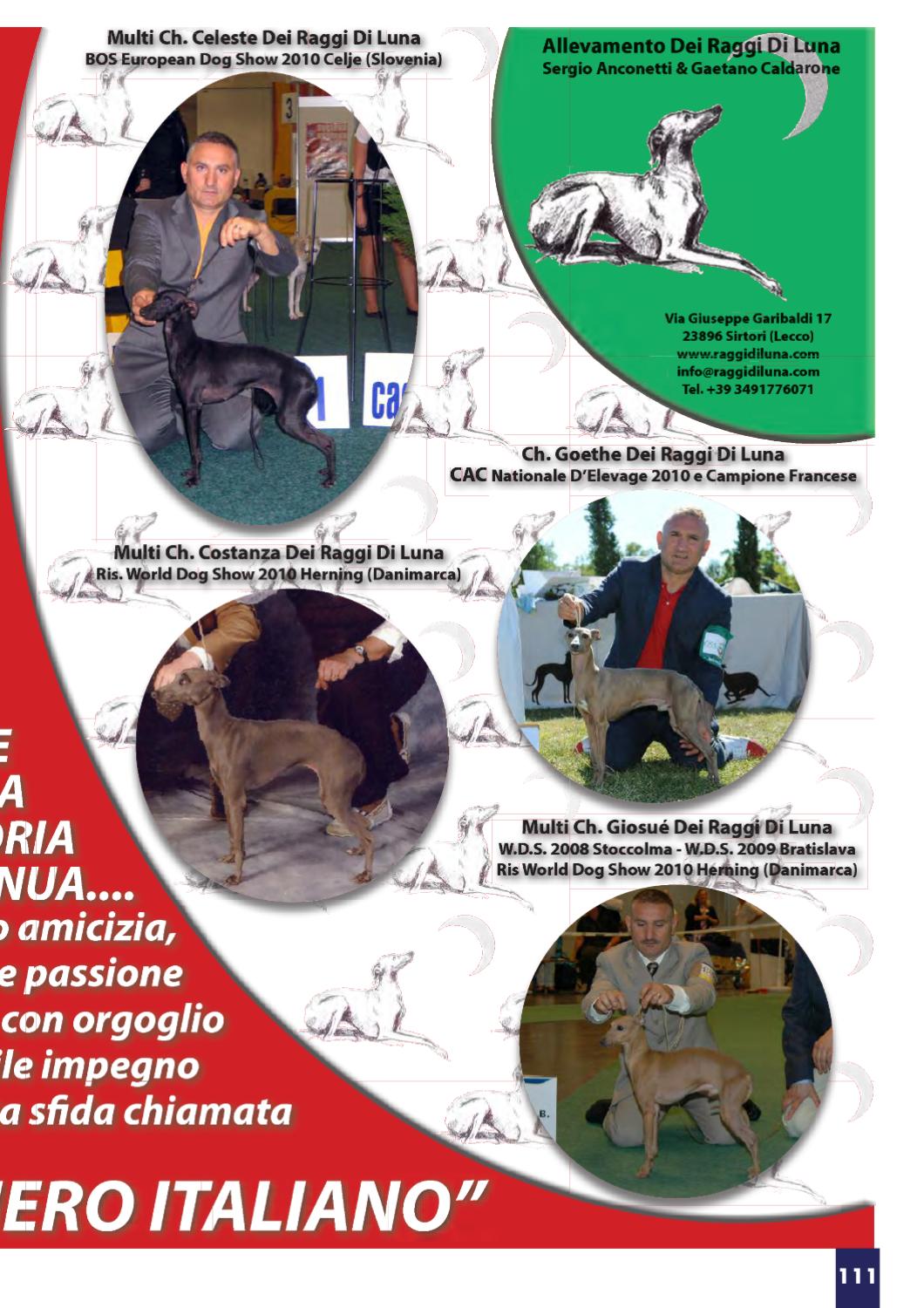 ENCI Annuario 2011 by ENCI Ente Nazionale Cinofilia Italiana Issuu